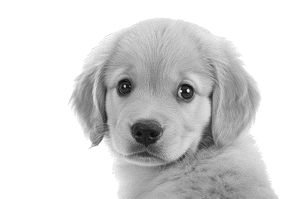 Close-up of a Floyd–Steinberg dither: puppy face built from black dots on white